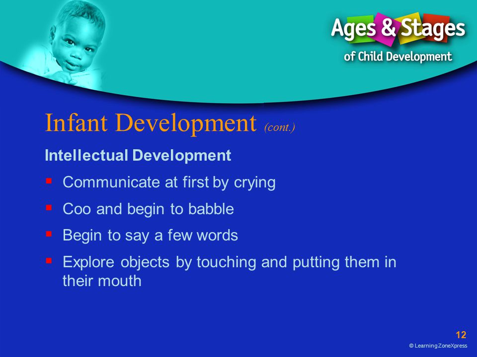 Infant Development (cont.)