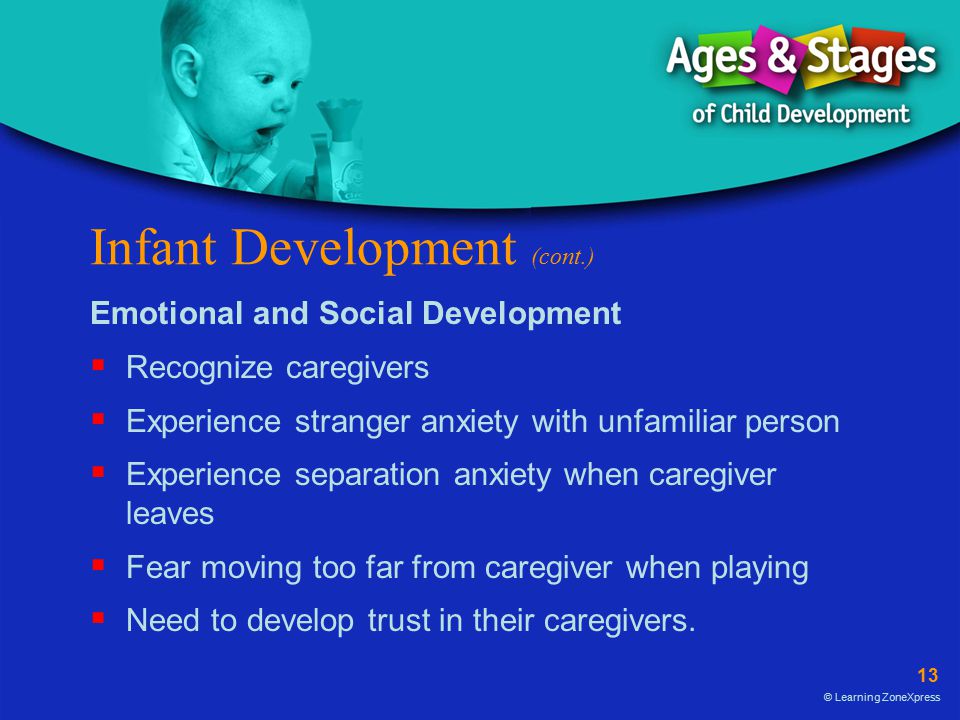 Infant Development (cont.)