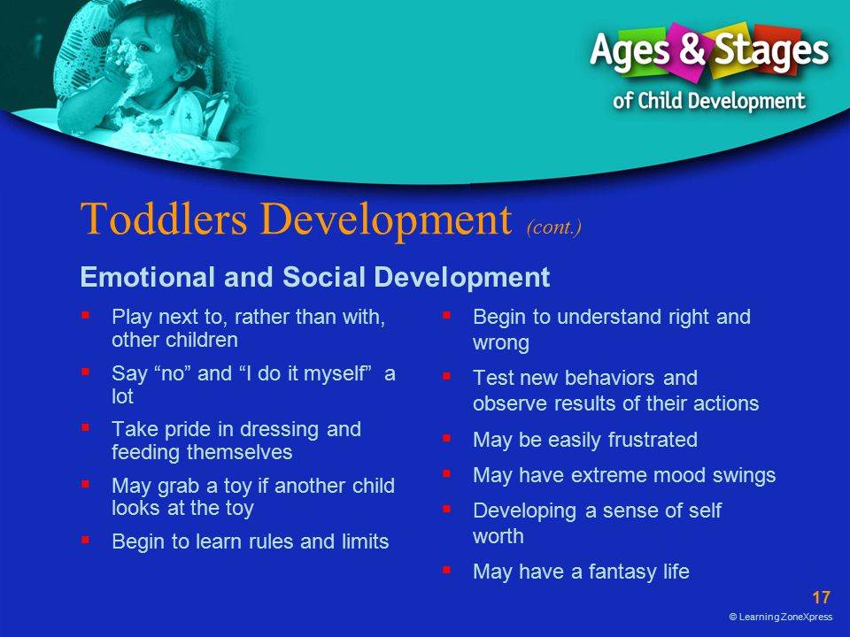 Toddlers Development (cont.)