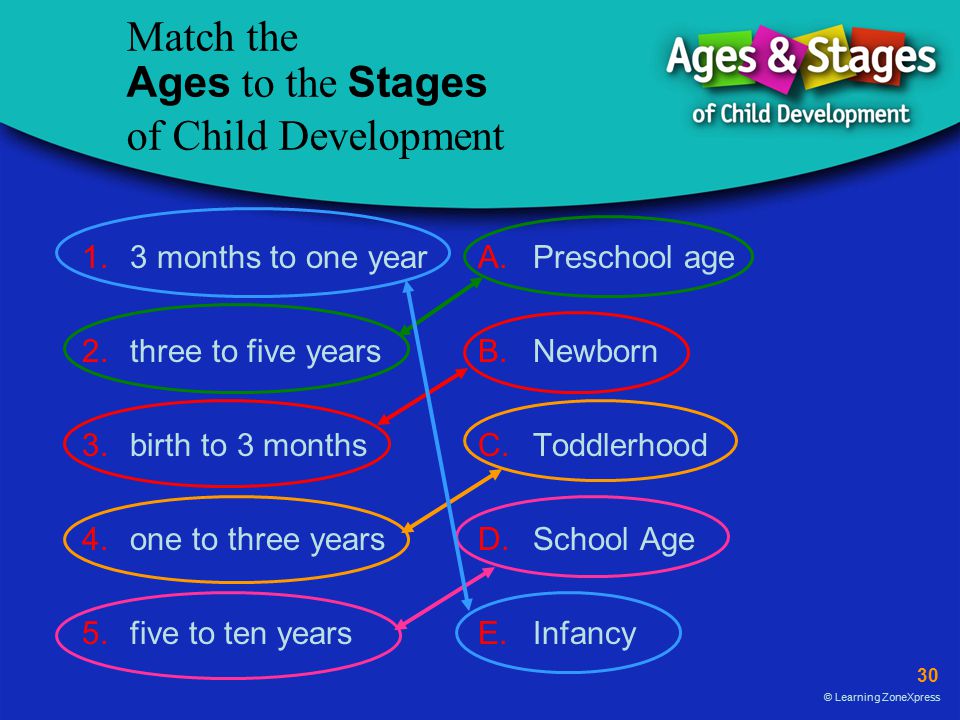 Match the Ages to the Stages of Child Development