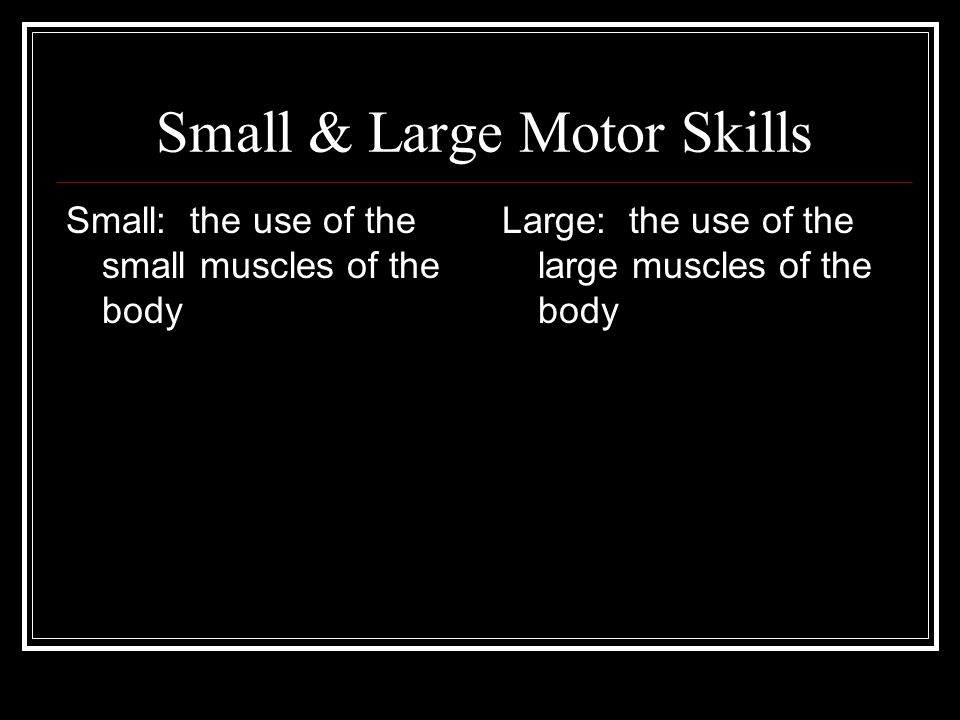 Small & Large Motor Skills