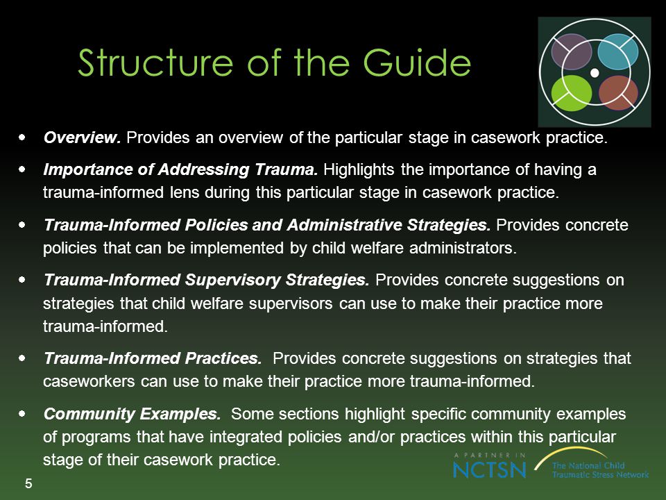 Structure of the Guide Overview. Provides an overview of the particular stage in casework practice.