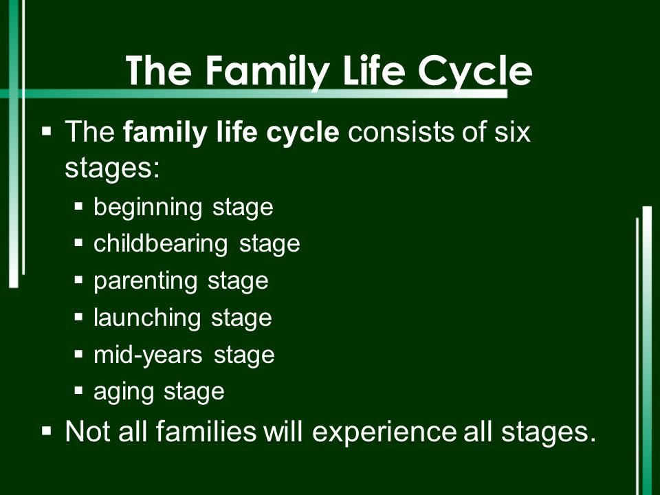 The Family Life Cycle The family life cycle consists of six stages: