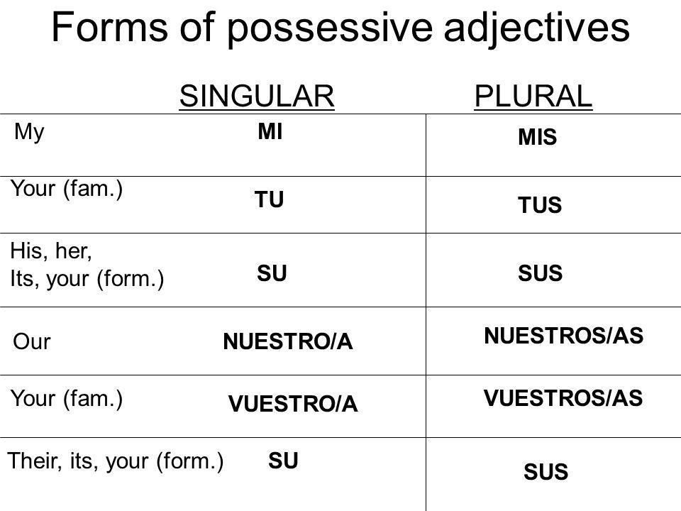 Forms of possessive adjectives
