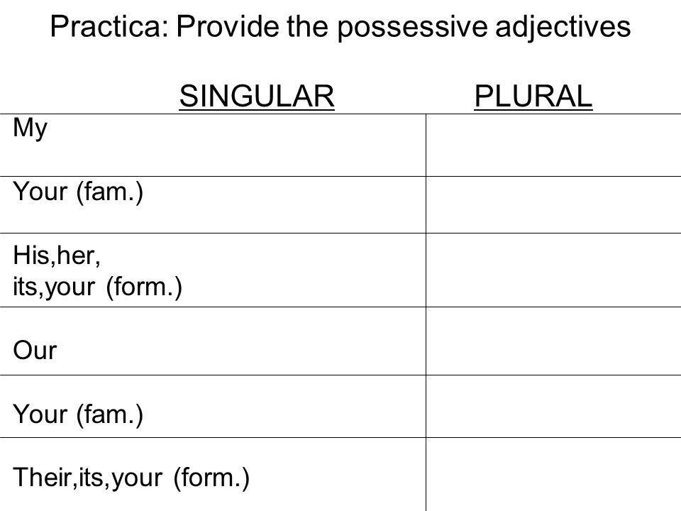 Practica: Provide the possessive adjectives