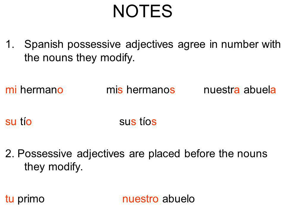 NOTES Spanish possessive adjectives agree in number with the nouns they modify. mi hermano mis hermanos nuestra abuela.
