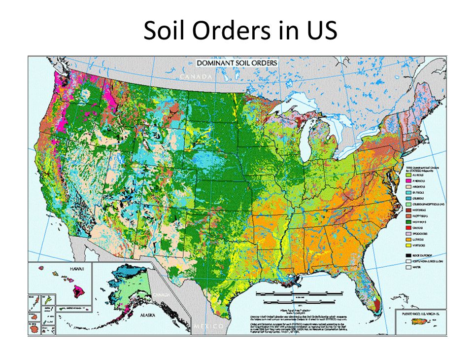Dominant Soil Orders Map Around The World Of Soils - Ppt Video Online Download