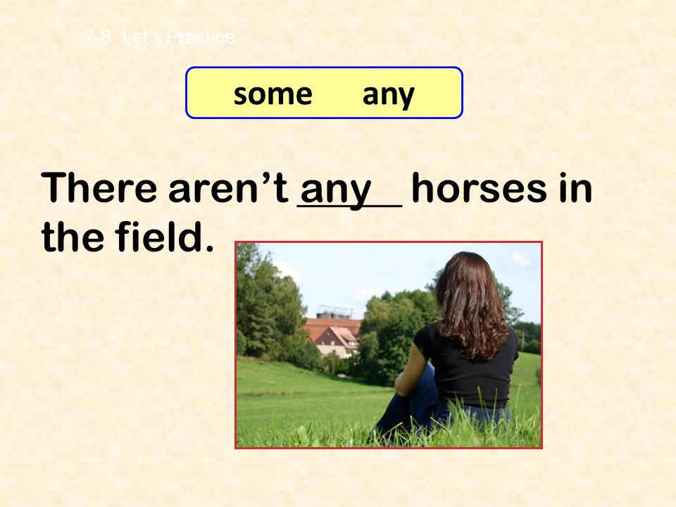 There aren’t _____ horses in the field. any