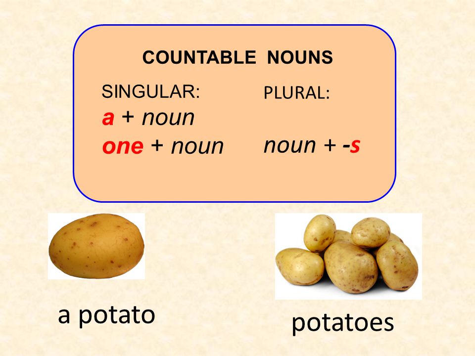 a potato potatoes noun + -s a + noun one + noun PLURAL: