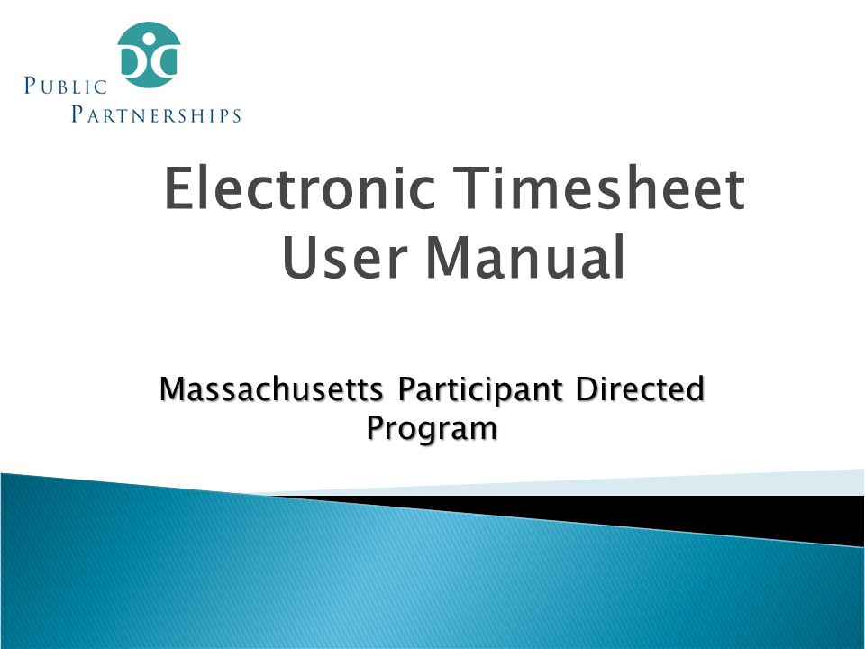 Electronic Timesheet User Manual