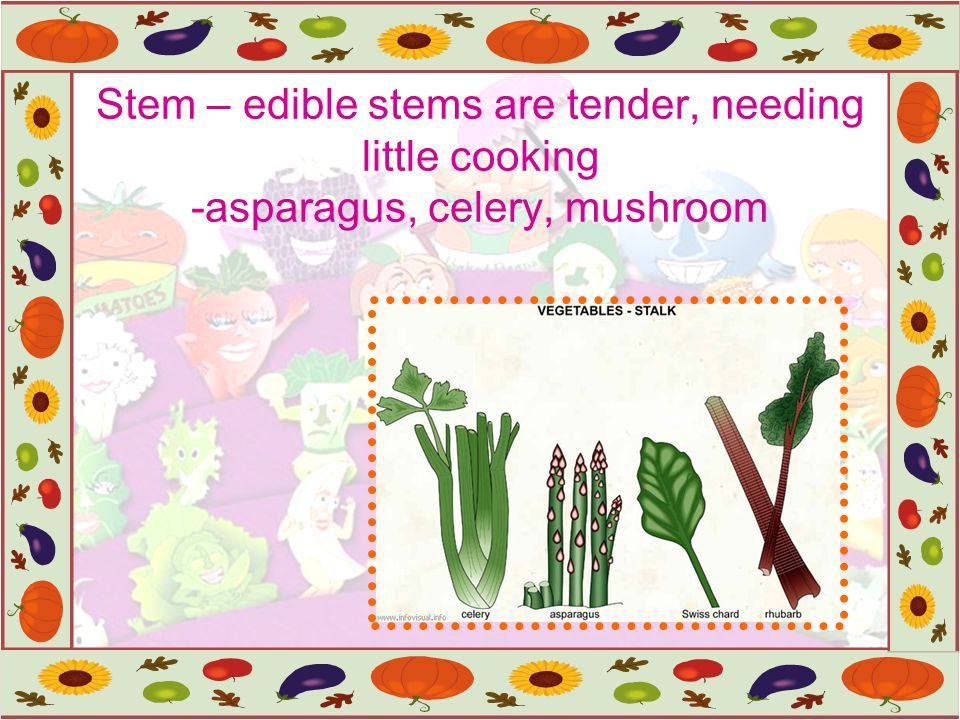 Stem – edible stems are tender, needing little cooking -asparagus, celery, mushroom