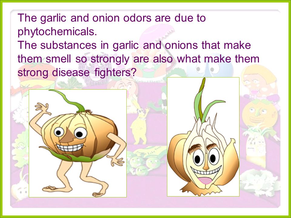 The garlic and onion odors are due to phytochemicals