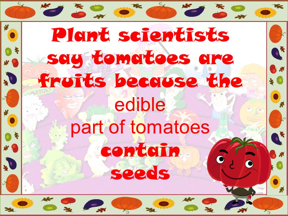 Plant scientists say tomatoes are fruits because the edible part of tomatoes contain seeds