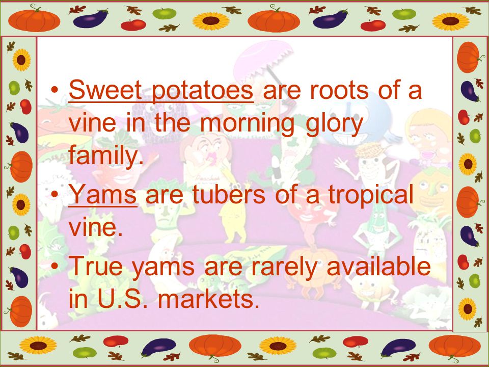 Sweet potatoes are roots of a vine in the morning glory family.