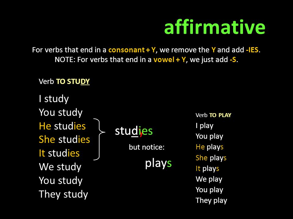 affirmative stud study studies plays play I study You study He studies