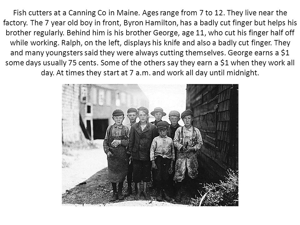 Fish cutters at a Canning Co in Maine. Ages range from 7 to 12