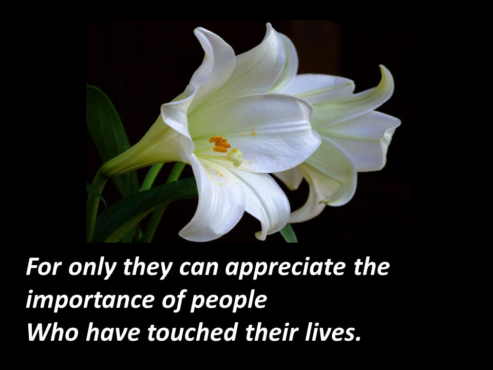 For only they can appreciate the importance of people Who have touched their lives.