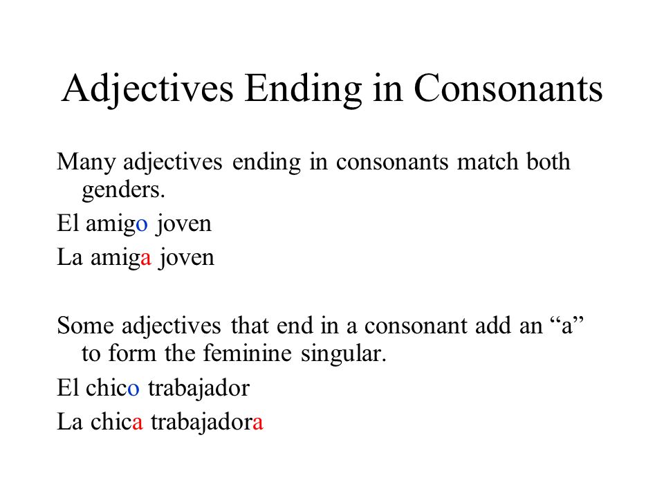 Adjectives Ending in Consonants