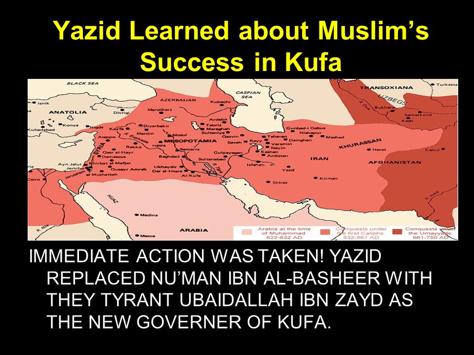 Yazid Learned about Muslim’s Success in Kufa