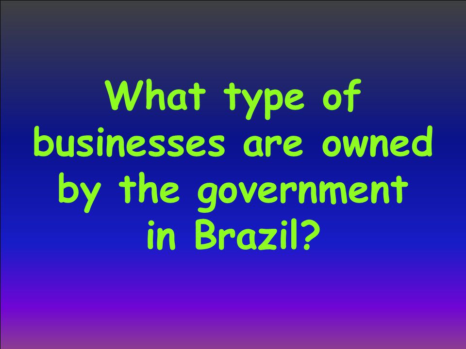 What type of businesses are owned by the government in Brazil