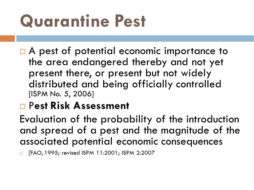 Quarantine Pest