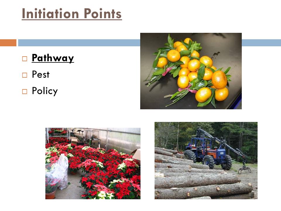 Initiation Points Pathway Pest Policy