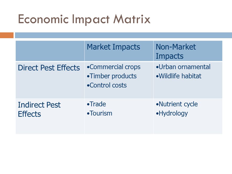 Economic Impact Matrix