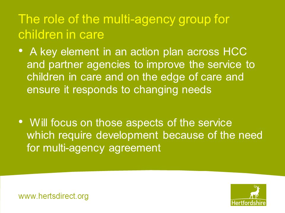 The role of the multi-agency group for children in care