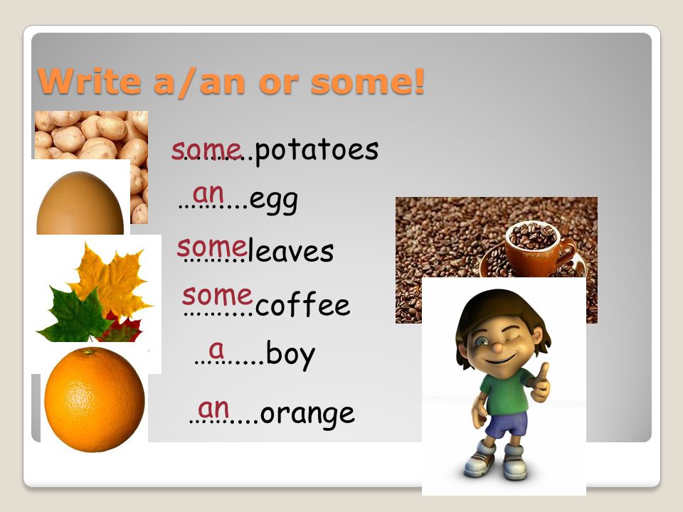 Write a/an or some! some ……....potatoes an ……....egg some ……...leaves