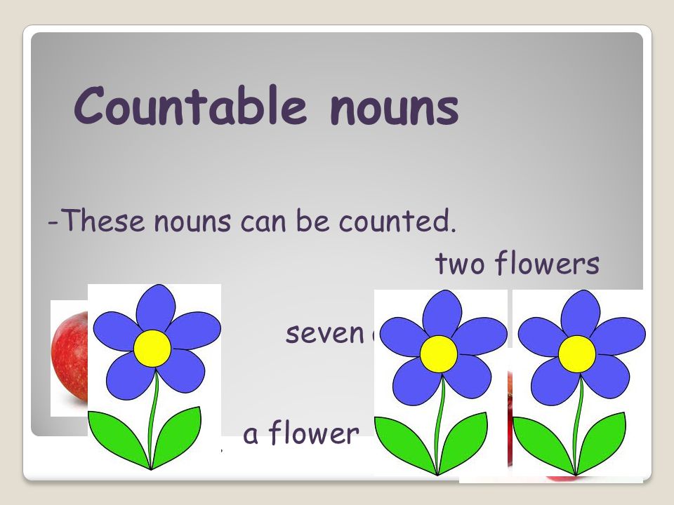 Countable nouns -These nouns can be counted. two flowers seven apples