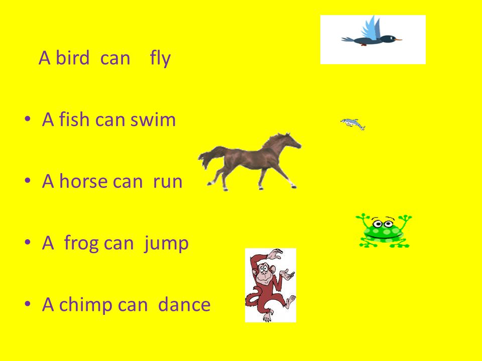 A chimp can sing. Can Swim животные. Fish, Bird, Horse, Frog, Chimp, can, Swim, Sing, Run, Jump, Dance. A Horse can Run. Рисунок английский язык i can Run Horse.