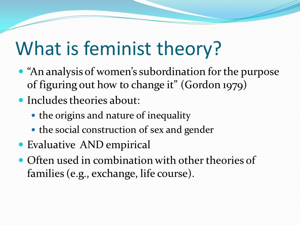 What is feminist theory