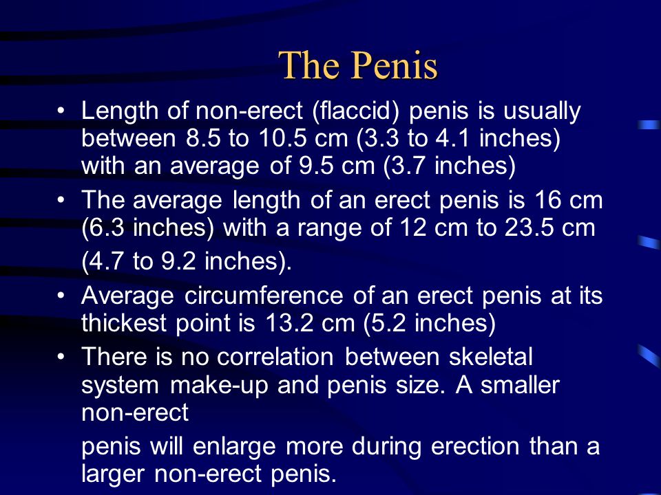 The Penis Length of non-erect (flaccid) penis is usually between 8.5 to 10....
