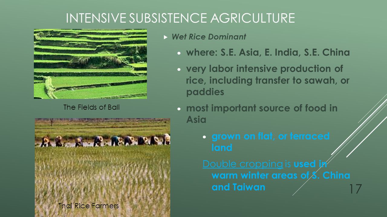 subsistence farming definition