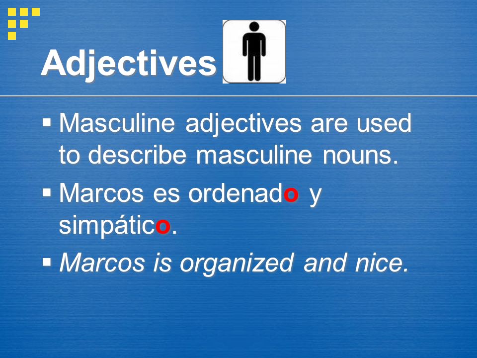 Adjectives Masculine adjectives are used to describe masculine nouns.