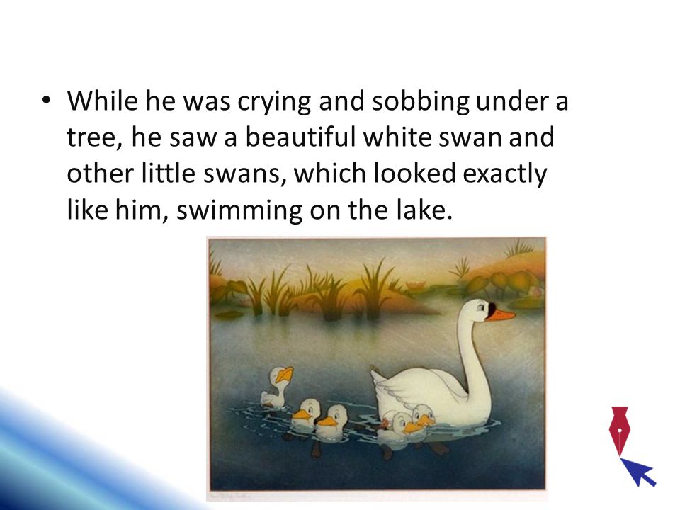 While he was crying and sobbing under a tree, he saw a beautiful white swan and other little swans, which looked exactly like him, swimming on the lake.
