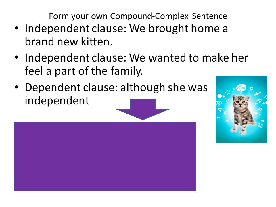 Form your own Compound-Complex Sentence
