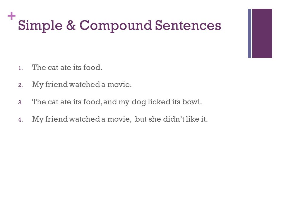 Simple & Compound Sentences