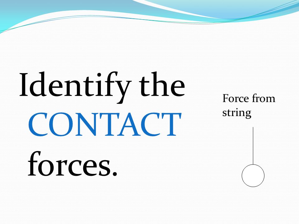 Identify the CONTACT forces.