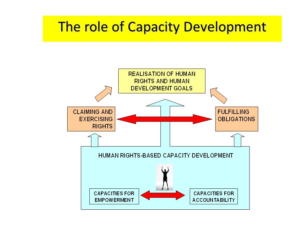 The role of Capacity Development