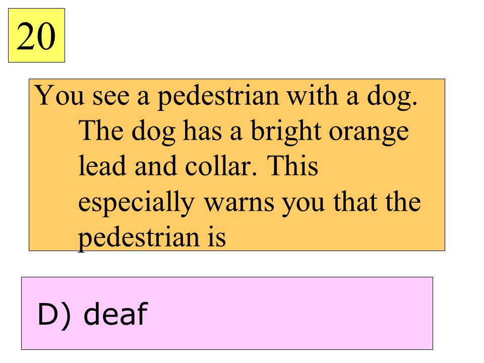 20 You see a pedestrian with a dog. The dog has a bright orange lead and collar. This especially warns you that the pedestrian is.