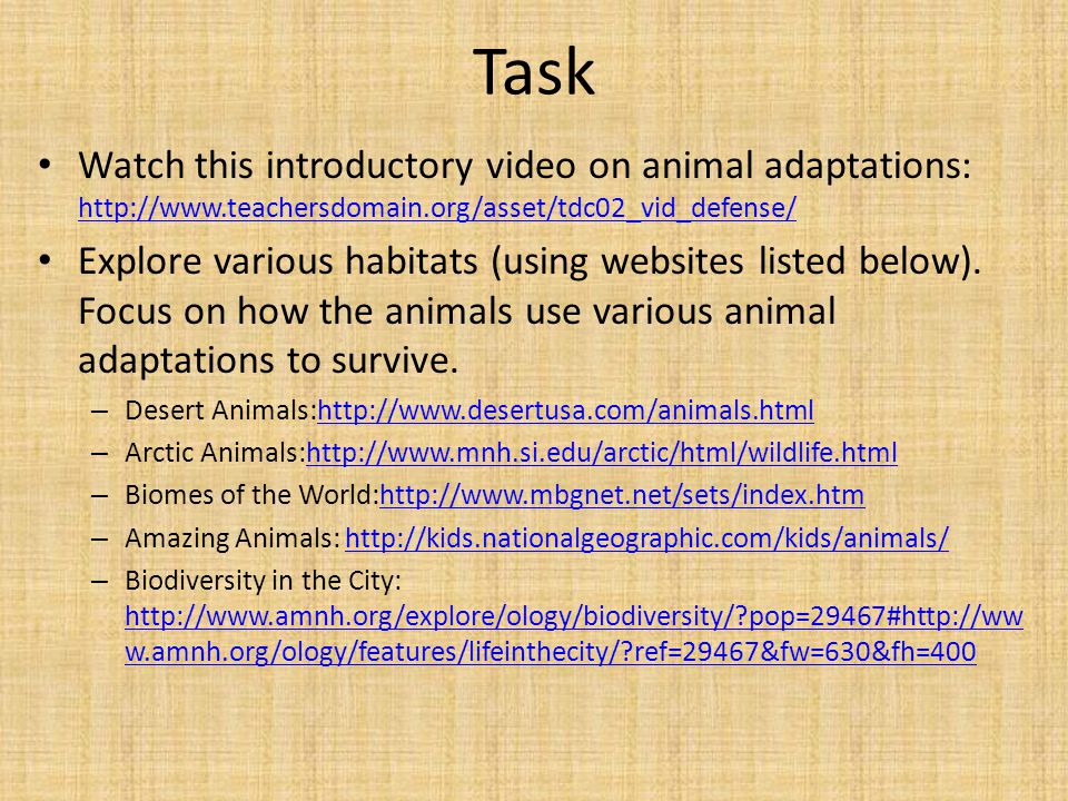 Animal Adaptations A WebQuest for 3-5th Grades - ppt download