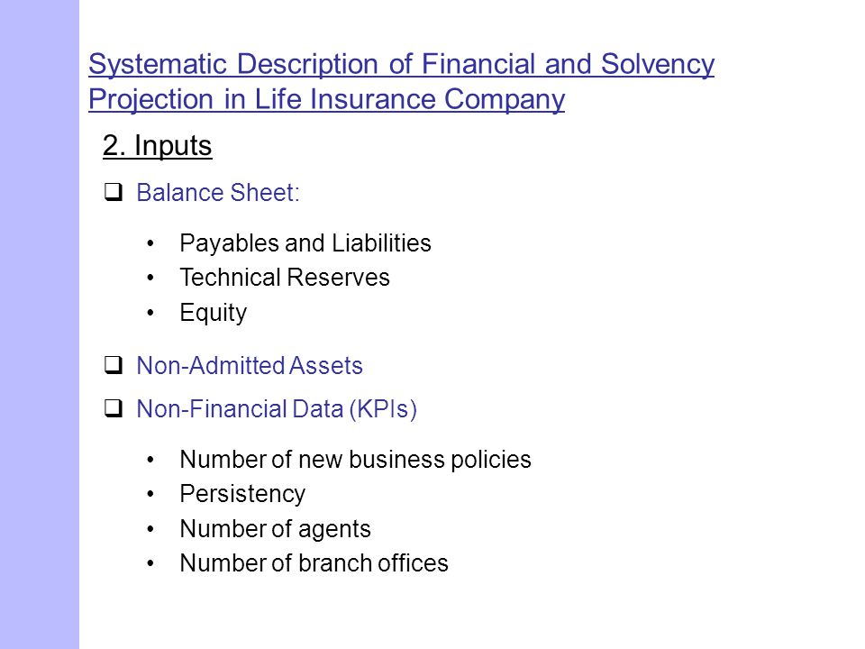 Systematic Description of Financial and Solvency Projection in Life Insurance Company