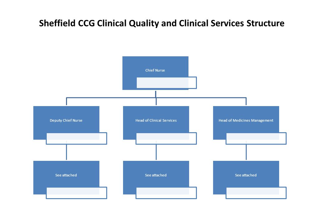 Sheffield CCG Clinical Quality and Clinical Services Structure