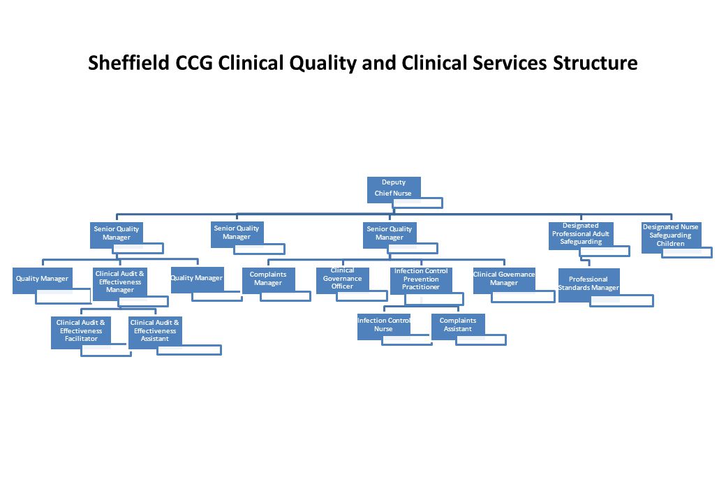 Sheffield CCG Clinical Quality and Clinical Services Structure
