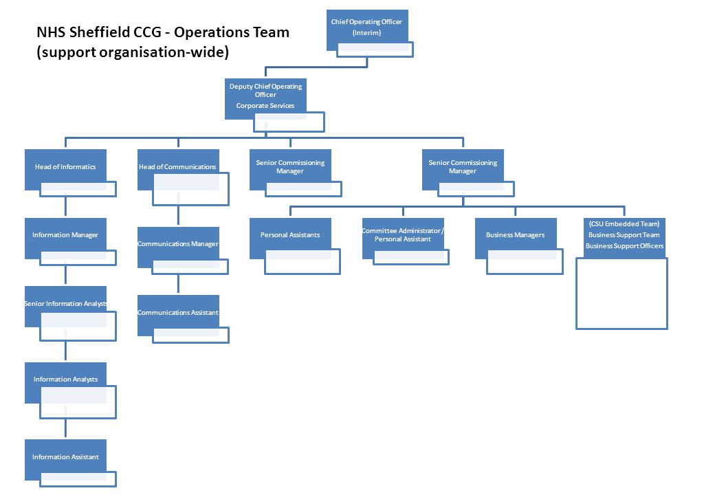 NHS Sheffield CCG - Operations Team (support organisation-wide)