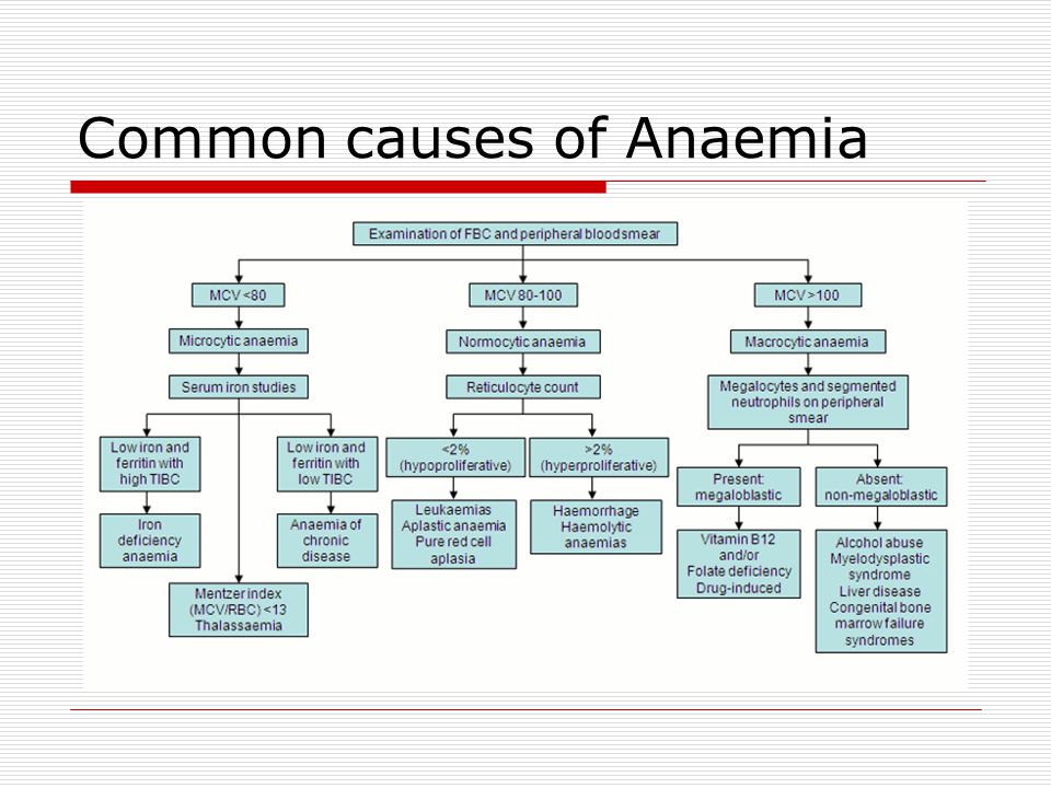 Common causes of Anaemia