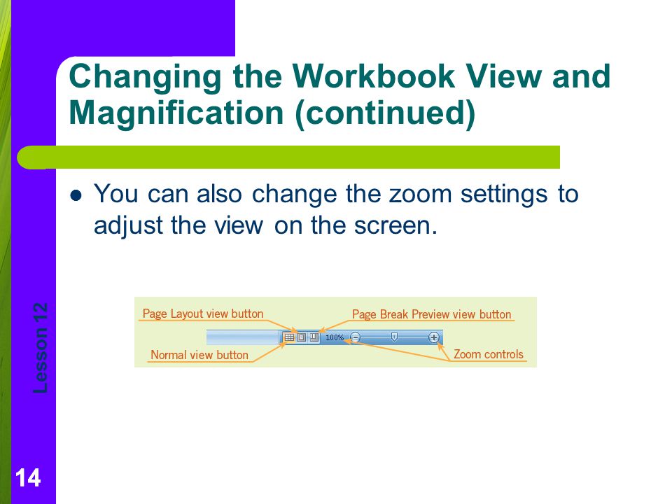Changing the Workbook View and Magnification (continued)