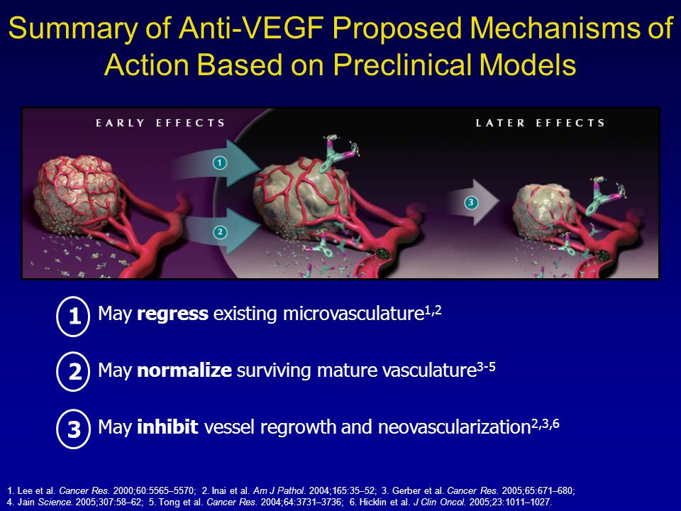 Summary of Anti-VEGF Proposed Mechanisms of Action Based on Preclinical Models