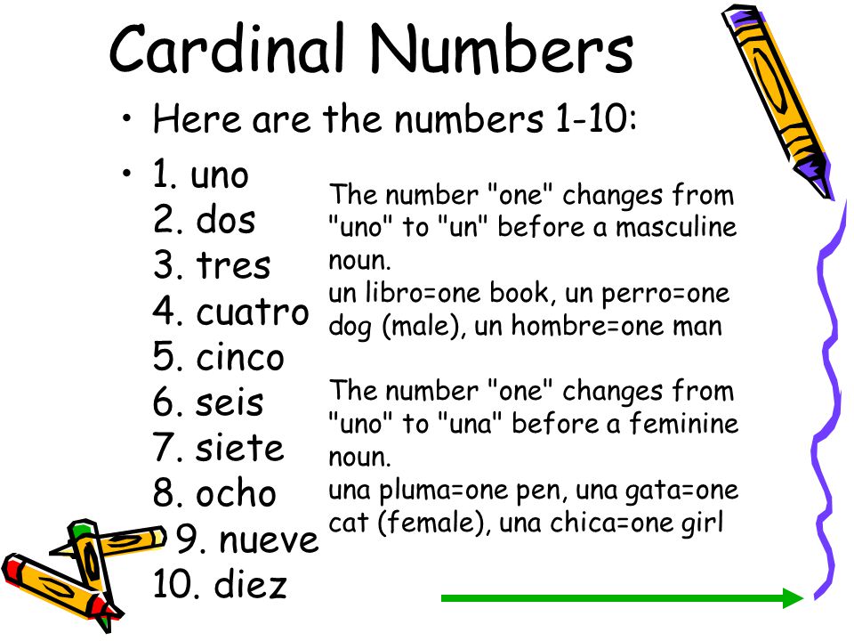 Cardinal Numbers Here are the numbers 1-10: 1. uno 2. dos 3. tres 4. cuatro 5. cinco 6. seis 7. siete 8. ocho 9. nueve 10. diez.